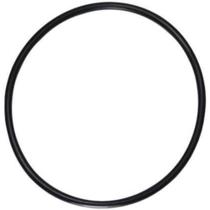 Guarnição da flange do módulo de combustível S10 2007 a 2019