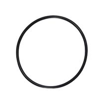 Guarnição Flange Combustível S10 2.4 8v Flex 2009 Ds1467 - 55794 - 1467