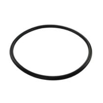Guarnição Flange Combustível S10 2.4 8v Flex