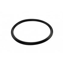 Guarnicao Flange S10 Blazer 2.2 2.5 4.3 V6 25027014 20245 2071 Avg0008