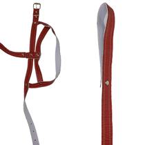 Guia com Peitoral em material sintético pra Cachorros Médios e Grandes Regulável