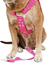 Guia com peitoral rosa G