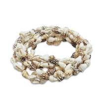 Guia de Conchas Diversar para Proteção Contra o Mal 50 cm Guia de Conchas Diversar para Proteção Contra o Mal 50 cm