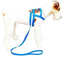 Guia e peitoral lisa de nylon cores sortidas nro 00 imperium