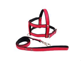 Guia E Peitoral Nylon Duplo P/cães Cachorro - Nº 5 Guia E Peitoral Nylon Duplo P/cães Cachorro - Nº 5