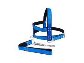 Guia E Peitoral Nylon Duplo P/cães Cachorro - Nº 8 Guia E Peitoral Nylon Duplo P/cães Cachorro - Nº 8