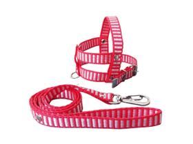 Guia E Peitoral Nylon Simples P/cães Cachorro - Nº 4