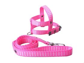 Guia E Peitoral Nylon Simples P/cães Cachorro - Nº 5