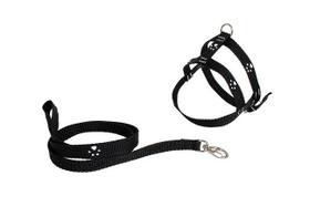 Guia e peitoral patinha de nylon cores sortidas nro 01 d&g