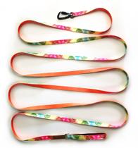 Guia longa de 5 metros para cachorro