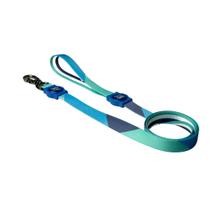 Guia para Cachorros Shudog - Square Azul