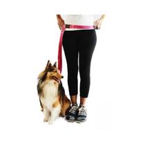 Guia para corrida com cão