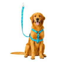 Guia Peitoral Coleira Pet Cachorro Médio Grande Porte 120cm - Power Pets Guia Peitoral Coleira Pet Cachorro Médio Grande Porte 120cm - Power Pets