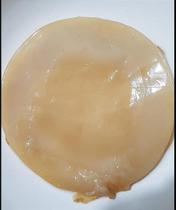 Guia prático da Kombucha + SCOBY - Faça Sua Kombucha Caseira com Facilidade Kippys Natural