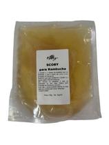 Guia Prático Kombucha com SCOBY - Faça Sua Kombucha Caseira com Facilidade