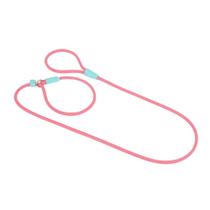 Guia Unificada Toh de Corda Fiji