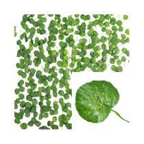 Guirlanda De Folhas De Hera Verde De Seda 2/4/6/8/10M Plantas Artificiais Para Decoração De Casa Guirlanda De Folhas De Hera Verde De Seda 2/4/6/8/10M Plantas Artificiais Para Decoração De Casa
