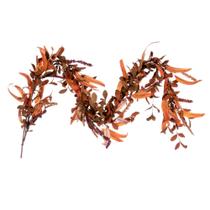 Guirnalda Artificial de Bayas y Follaje de Otoño Vickerman 1.5 m Guirnalda Artificial de Bayas y Follaje de Otoño Vickerman 1.5 m