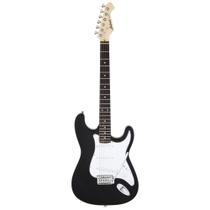 Guitarra Stratocaster Aria Pro II STG-003