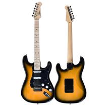 Guitarra Stratocaster Shelter SSW Basswood Hss