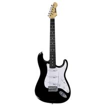 Guitarra Stratocaster Winner WGS