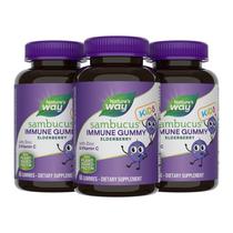 Gummies Nature's Way Sambucus Elderberry Immune Kids 60u