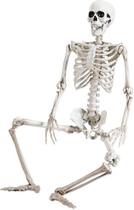 Halloween Skeleton Abakuku 36 Corpo inteiro 90 cm com juntas móveis Halloween Skeleton Abakuku 36 Corpo inteiro 90 cm com juntas móveis