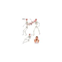 Halloween Skeleton ALLIVING 1,65 m com olhos e som brilhantes