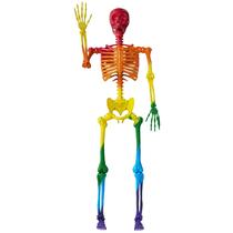 Halloween Skeleton JOYIN 175 cm Rainbow Posable Outdoor Halloween Skeleton JOYIN 175 cm Rainbow Posable Outdoor
