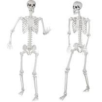 Halloween Skeleton Kukooka 180 cm de juntas móveis em tamanho real Halloween Skeleton Kukooka 180 cm de juntas móveis em tamanho real
