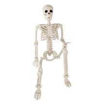 Halloween Skeleton Toolterritary, 3 pés, articulações posáveis de corpo inteiro Halloween Skeleton Toolterritary, 3 pés, articulações posáveis de corpo inteiro