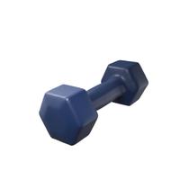 Halter 3kg emborrachado sextavado azul