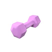 Halter 3kg emborrachado sextavado rosa