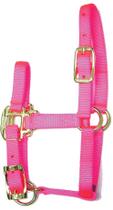 Halter Ajustável para Cavalo Hamilton - Nylon Rosa Choque - 3/4 Polegadas Halter Ajustável para Cavalo Hamilton - Nylon Rosa Choque - 3/4 Polegadas