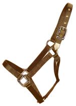 Halter de Nylon Hamilton para Cavalo - 1 Polegada, Marrom, Tamanho Médio