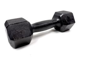 Halter Dumbell Sextavado Pintado 10Kg Musculação Megagym Halter Dumbell Sextavado Pintado 10Kg Musculação Megagym