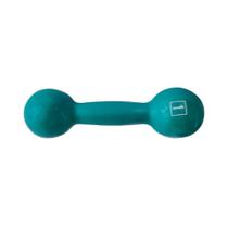 Halter Ferro Fundido Emborrachado 1,0kg para Treino Preto Anilhas Fitness