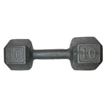 Halter Sextavado de Ferro Fundido Pintado - 10 Kg Halter Sextavado de Ferro Fundido Pintado - 10 Kg