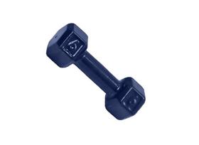 Halter Sextavado Emborrachado Para Musculação Academia 06 kg