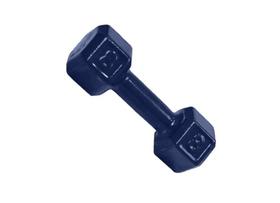 Halter Sextavado Emborrachado Para Musculação Academia 08 kg