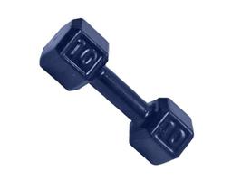 Halter Sextavado Emborrachado Para Musculação Academia 10 kg Halter Sextavado Emborrachado Para Musculação Academia 10 kg