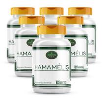 Hamamelis Kit 6 Potes 360 Cápsulas 500Mg - Hamamélide