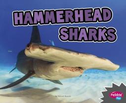 Hammerhead Sharks Hammerhead Sharks