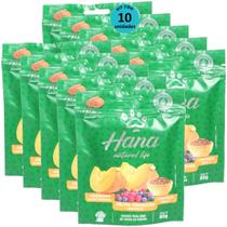 Hana Natural Life Abóbora Frutas Vermelhas Linhaça 80g Para Cães Adultos Kit Com 10 Un