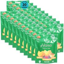 Hana Natural Life Abóbora Frutas Vermelhas Linhaça 80g Para Cães Adultos Kit Com 20 Un