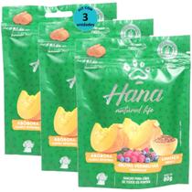 Hana Natural Life Abóbora Frutas Vermelhas Linhaça 80g Para Cães Adultos Kit Com 3 Un Hana Natural Life Abóbora Frutas Vermelhas Linhaça 80g Para Cães Adultos Kit Com 3 Un