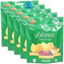 Hana Natural Life Abóbora Frutas Vermelhas Linhaça 80g Para Cães Adultos Kit Com 5 Un
