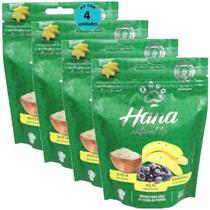 Hana Natural Life Aveia Açaí Banana 80g Snacks Para Cães Adultos Kit C/ 4 un