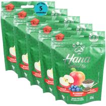 Hana Natural Life Maçã Blueberry Chia 80g Snacks Para Cães Adultos Kit C/ 5 un