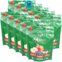 Hana Natural Life Maçã Blueberry Chia 80g Snacks Para Cães Adultos Kit Com 10 un Hana Natural Life Maçã Blueberry Chia 80g Snacks Para Cães Adultos Kit Com 10 un